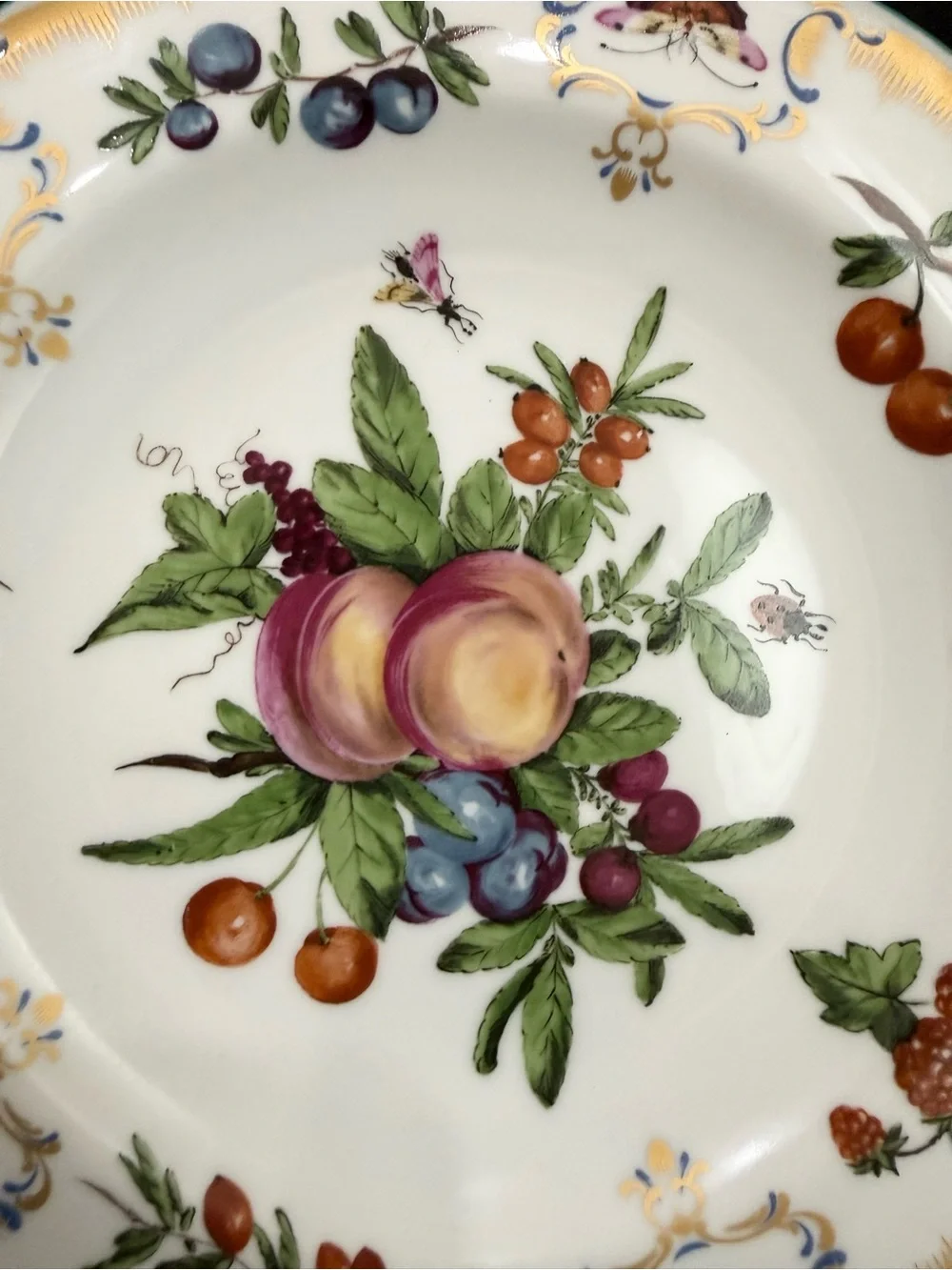 1 Duke of Gloucester by Mottahedeh Williamsburg Botanical Fruits 8